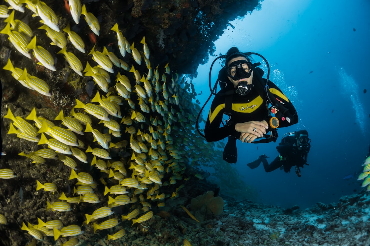 Snorkeling at Mnemba Atoll: A Complete Guide