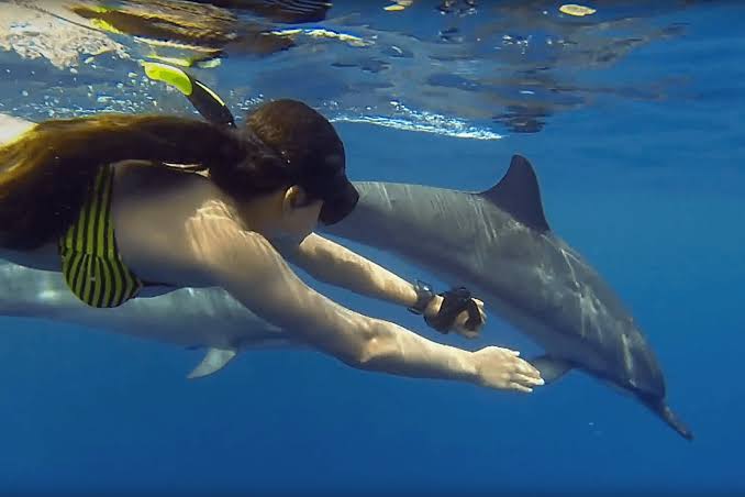 Dolphin Tour (Kizimkazi)
